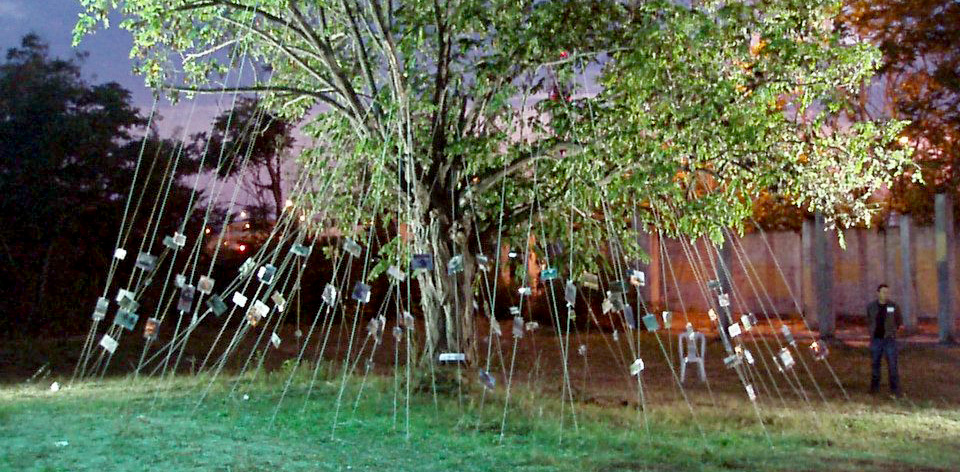 το δέντρο, εγκατάσταση, Ανάκατα 2011