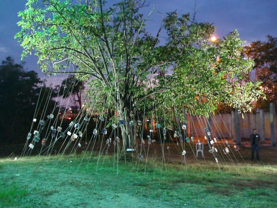 the tree, installation, Anakata 2011